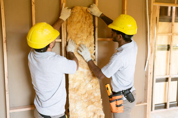 Professional Insulation Services in Alexandria, VA